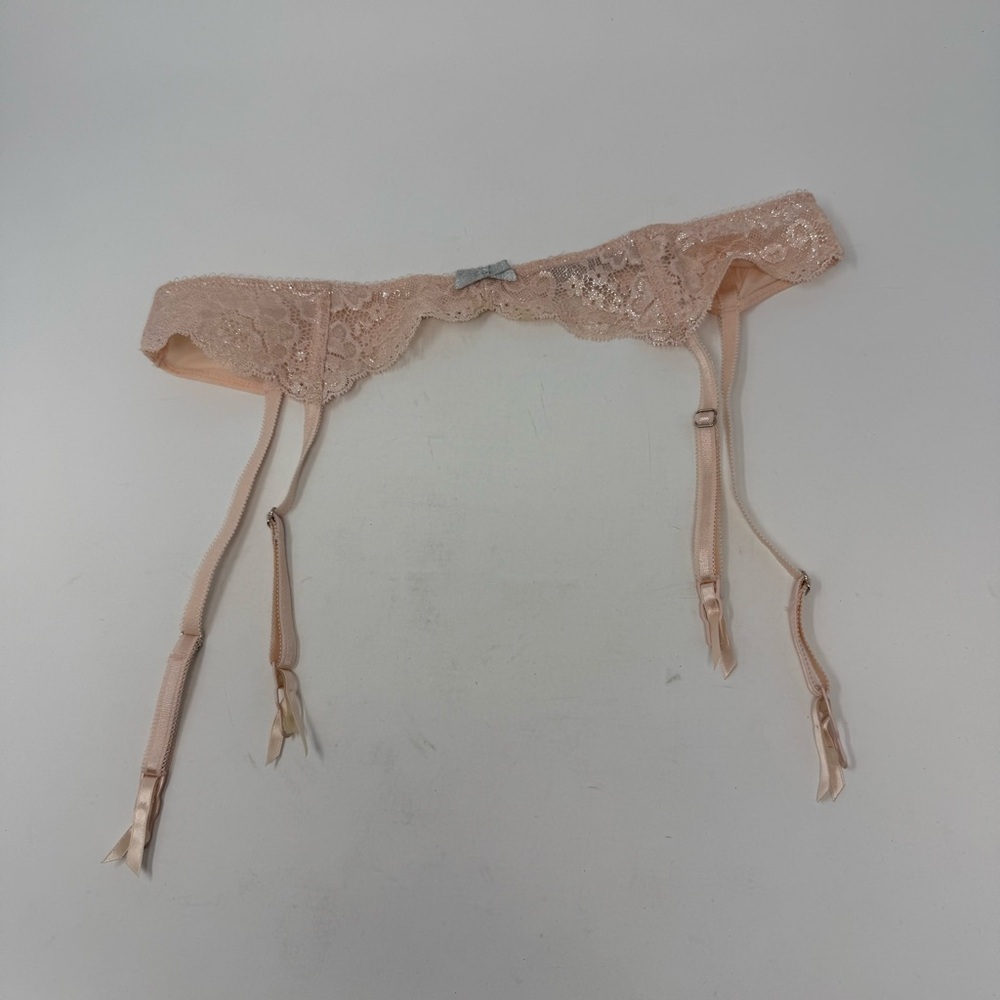 Victoria's Secret Pale Pink and Silver Bow Dream Angels Lace Sparkle Garter Belt